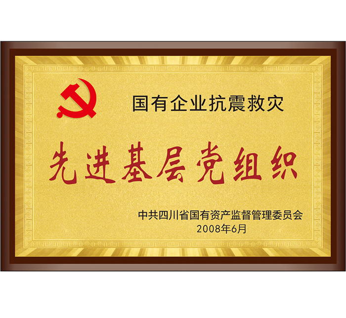 國有企業(yè)抗震救災“先進基層黨組織”