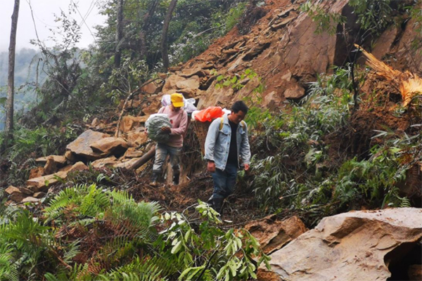 202508111707456173.jpg 微信圖片_20250811142847.jpg