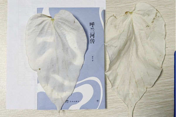 202508111707532341.jpg 微信圖片_20250811142910.jpg