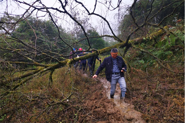 202508111707572327.jpg 微信圖片_20250811142914.jpg